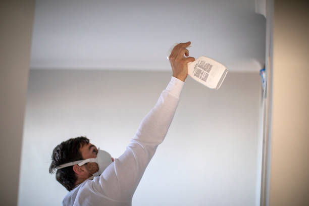 Best Mold Removal Company Near Me  in Royal Palm Estates, FL
